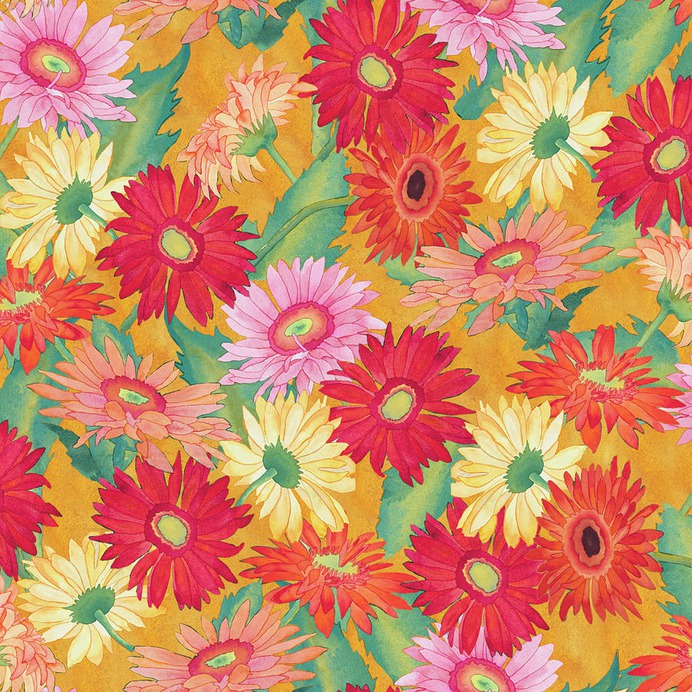 daisy painting & daisy paint by number #painting