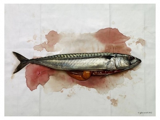 Collate #photo #fish