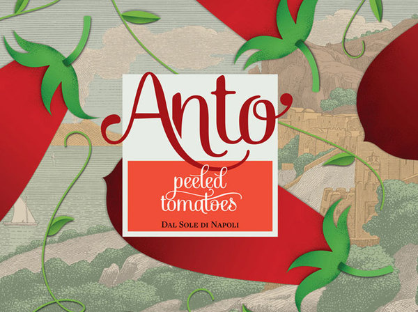 Anto #logotype #identity #typography