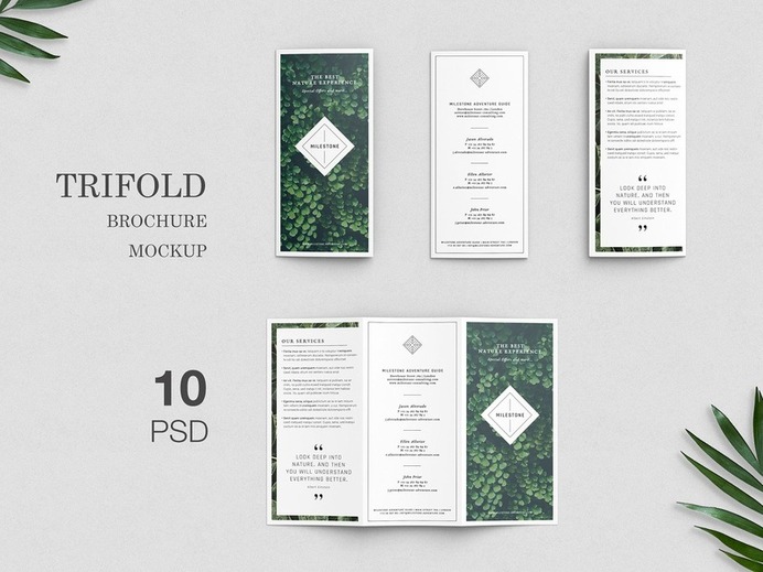 Trifold Brochure Mockups mock-up mockup modern simple elegant magazine brochure design clean trifold flyer brochure flyer template trifold template brochure trifold mockup trifold mockup trifold brochure mockup brochure template brochure trifold brochure trifold brochure mockups