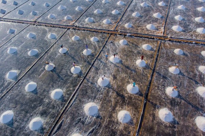 Salt fields