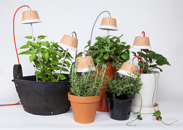 Support potted plants with LED light and grow vegetables indoors in a way you never have before. #lifestyle #design #home #product #industrial