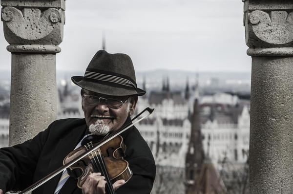 Violin #violin