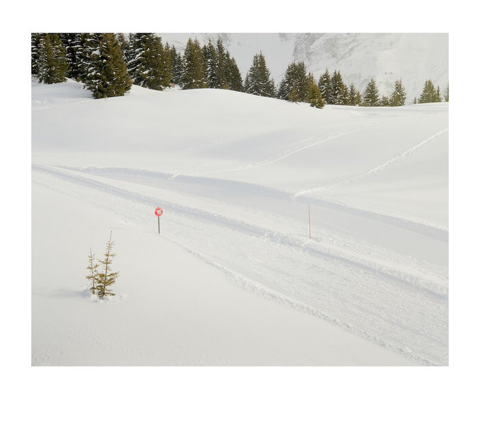 Ski, sign and trees | Flickr - Photo Sharing! #skiing #snow