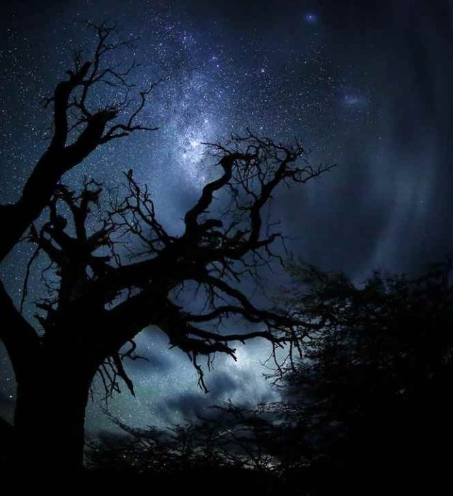 Nature Photography by Alexandre Deschaumes #inspiration #photography #nature