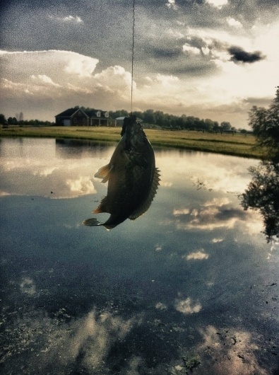 Jack O'Callaghan Justjackdesign #old #just #outdoors #fish #photography #com #jack #justjackdesign #fishing