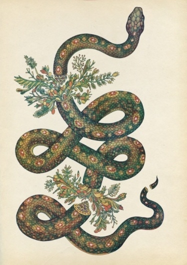 â™¡KITTÃ‹Nâ™¡ #snake