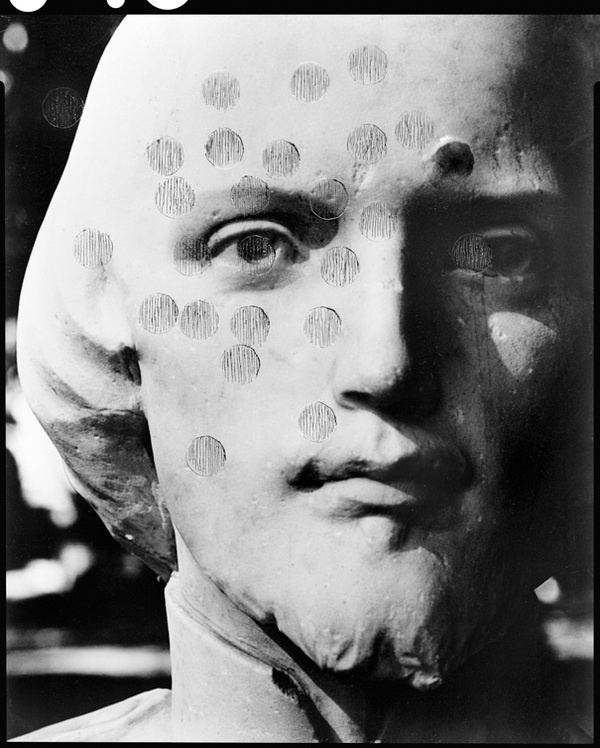 Celestino - Gallo, Scintille #arts #photography