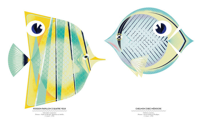 Cruschiform - POCKO #illustration