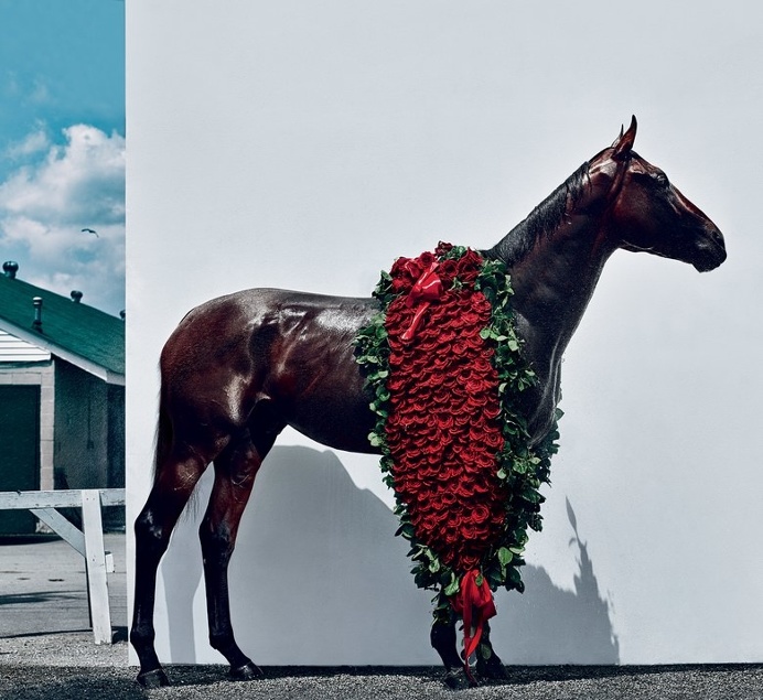 horse-american-pharoah-triple-crown-winner.jpg (780×716) American Pharoah near his stables at Churchill Downs in Louisville, Kentucky Phot
