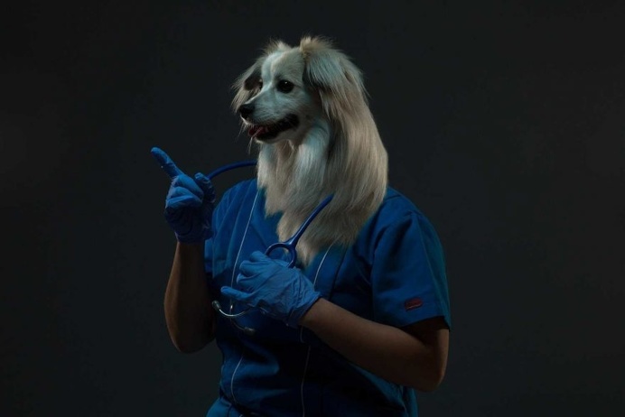 Reflection of Me: When Dogs And Their Humans Become One by Isaac Alvarez