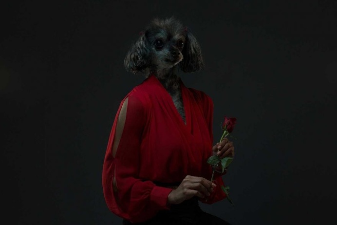Reflection of Me: When Dogs And Their Humans Become One by Isaac Alvarez