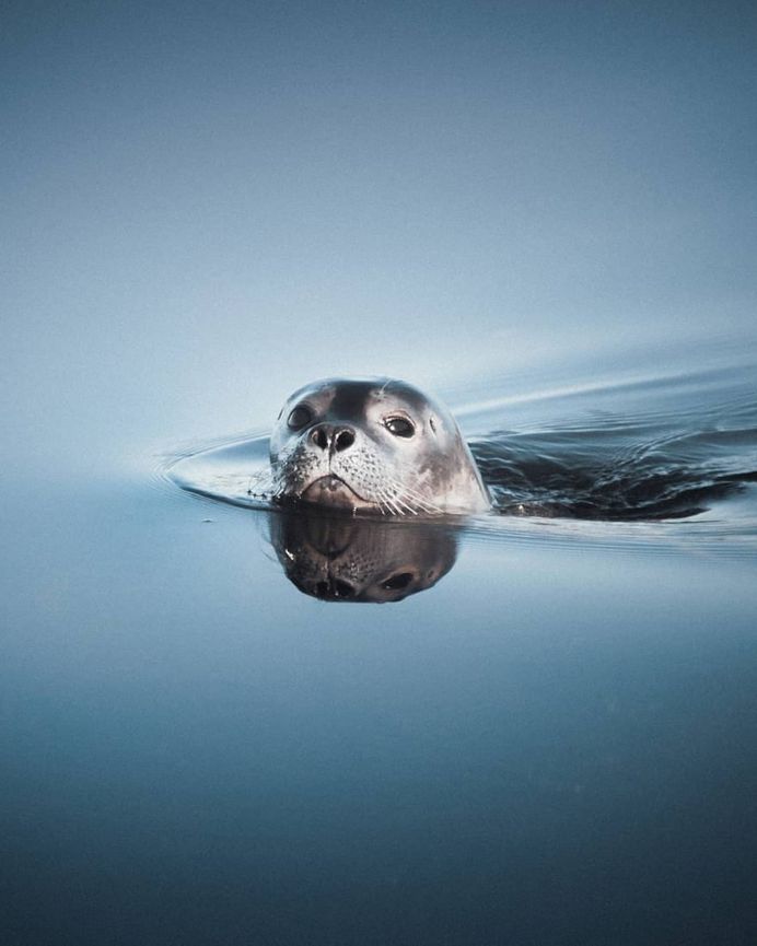 Stunning Landscape and Adventure Photography by Paul Hanninen