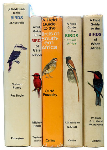 ➽ Daily Daily Daily Daily... #birds #spin #book #daily