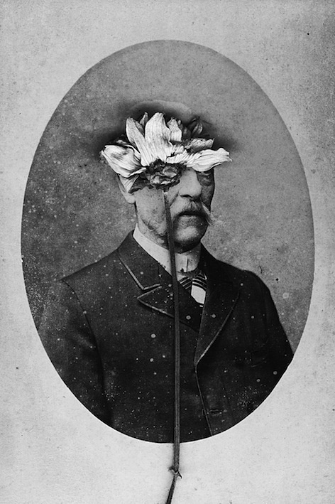 Marcela Paniak #white #black #photography #vintage #and #flowers
