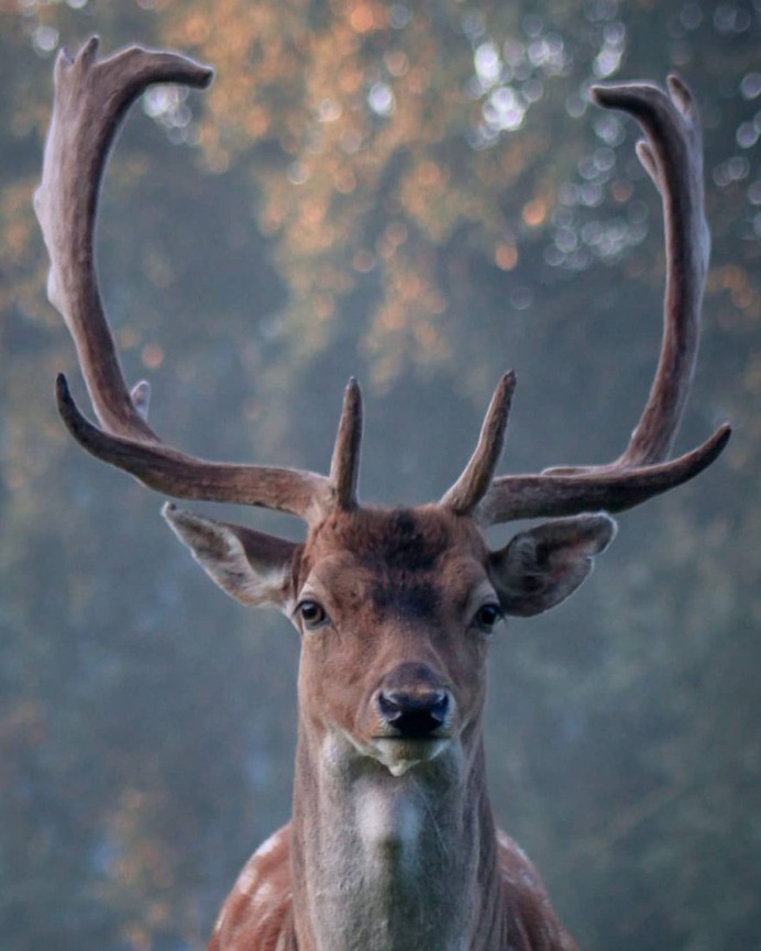 Beautiful and Extraordinary Outdoor Photography by Karen Heslinga