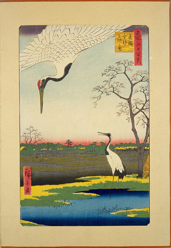 Minowa, Kanasugi and Mikawashima #illustration #japan