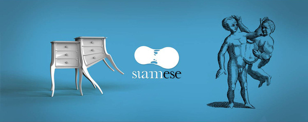 Cool SIAMESE Twins Furniture Ideas #interior #design #decor #home #furniture #architecture
