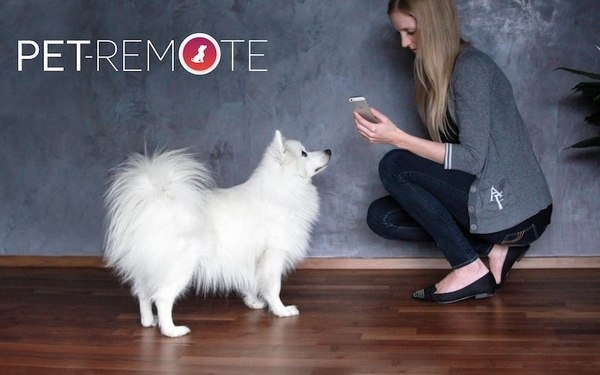 Pet Remote #pet #gadget