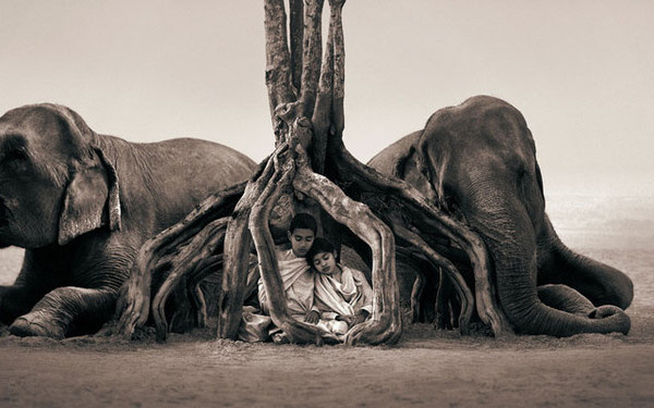 Ashes and Snow by Gregory Colbert #inspiration #photography #animal