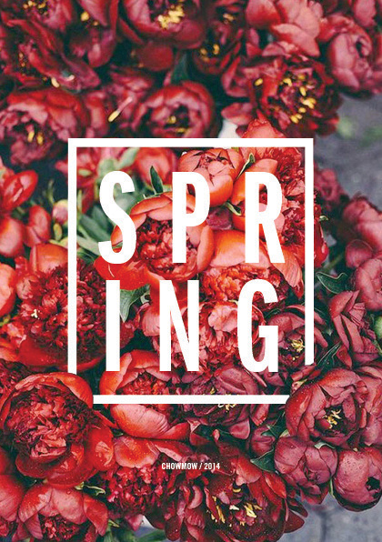 Free Editorial Layouts [InDesign]