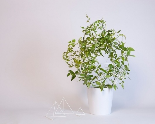 studio kg: parramyd planter #furniture #design #plant #green