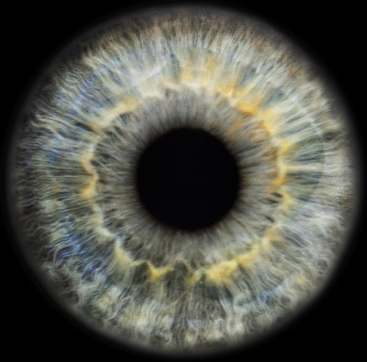 Portfolio | Special Projects « RANKIN #eyescapes #photography #rankin