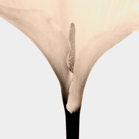 P07