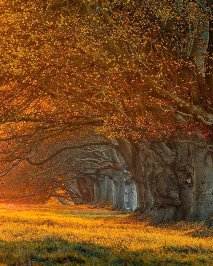 Beautiful Travel and Landscape Photography by Dan Tucker