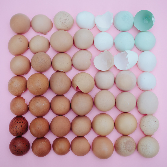 gradual arrangements emily blincoe