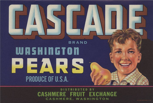photo #type #vintage #label
