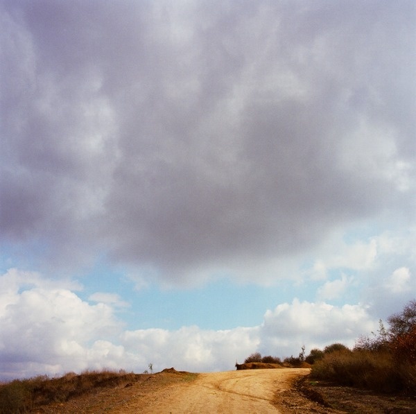Andrew Paynter | PICDIT #photo