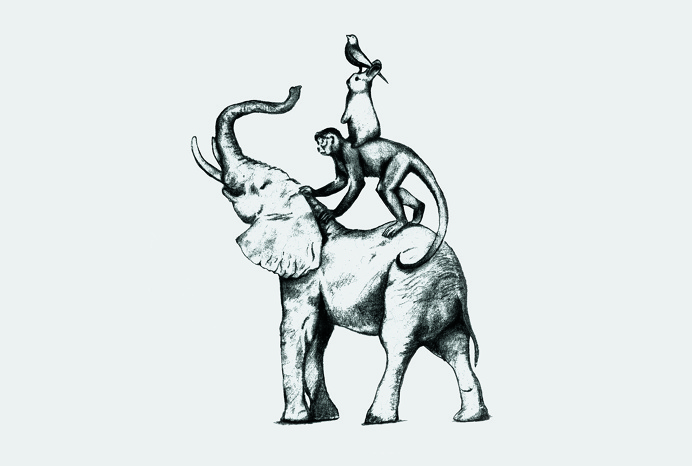 #logo #illustration #Bienal #animal #identity