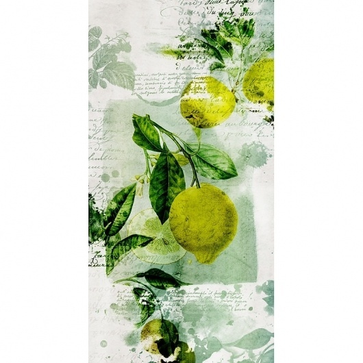 by D and B - Dubois & Barral #collection #botanic #duboisbarral
