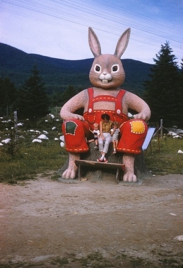 Other / #rabbit