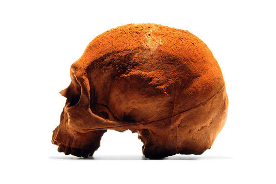 100% Chocolate Skulls, Anatomically Correct Human skull #skeleton #morbid #macabre #design #anatomy #food #chocolate #product #human #skull