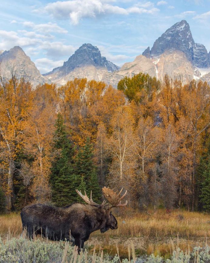 #nakedplanet: Outstanding Nature Landscapes by Josh Packer