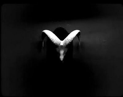 CheynaSae #white #black #animal head