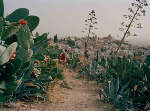 cactus~