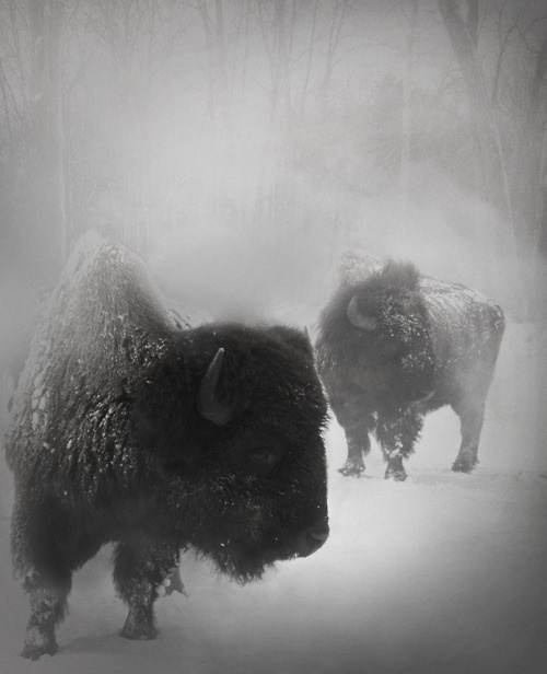 (100+) Tumblr #photography