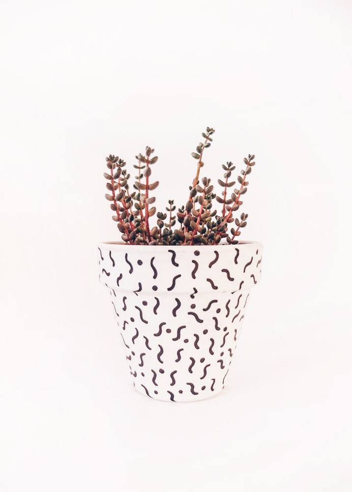 Projekt: eden #pattern #pot #plant