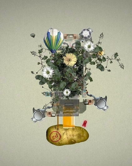 land.jpg (600×752) #air #power #land #floral #hot #balloon #potato #ivy