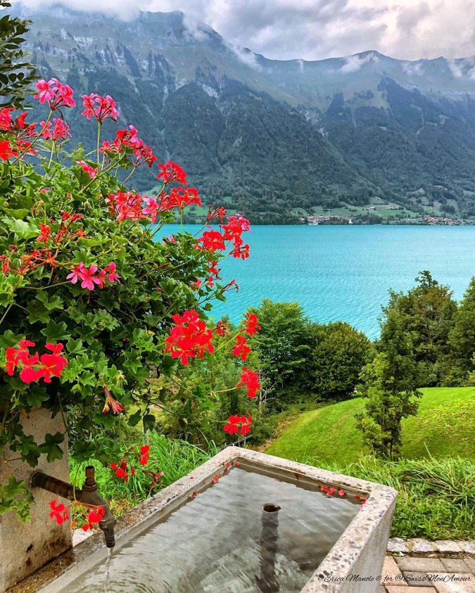 Erica Manole Captures Breathtaking Landscapes in Switzerland