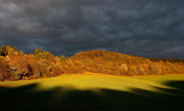Photo of the Day #inspiration #photography #nature
