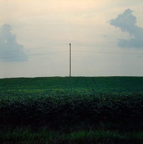 Untitled | Flickr - Photo Sharing! #justin #clouds #lines #broadway #sky #power #photography #pole #farm #telephone