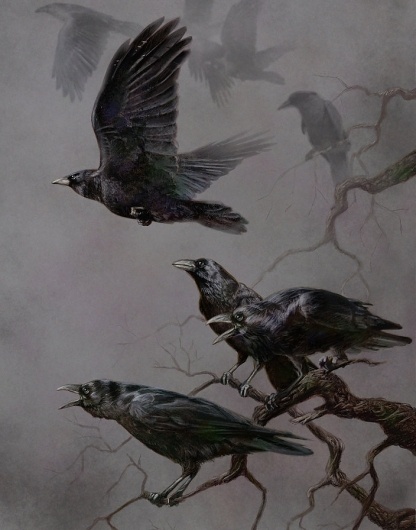 027_large.jpg (704×896) #crows #birds #illustrations