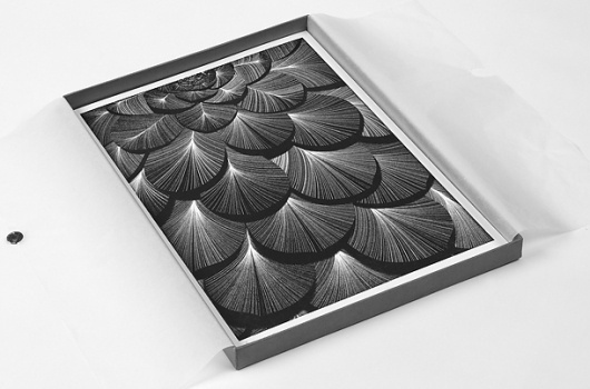 Balla Dora Typo-Grafika: Kai and Sunny, Limited Edition Box Set - The Flower Show - Series 2 #white #design #graphic #monocrome #black #and