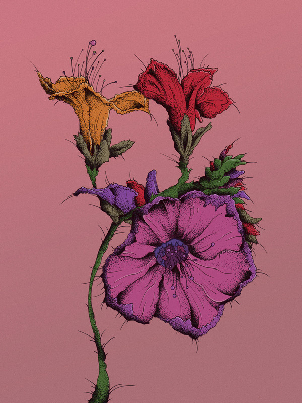 Current Illustrations #flowers