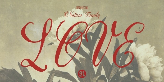Natura - Webfont & Desktop font « MyFonts #calligraphy #script #writing #nature #handwritten #type