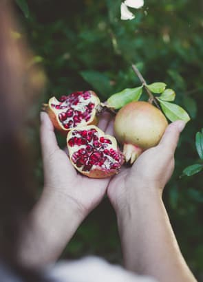 pomegranate-Featured-295.jpg (295×410)